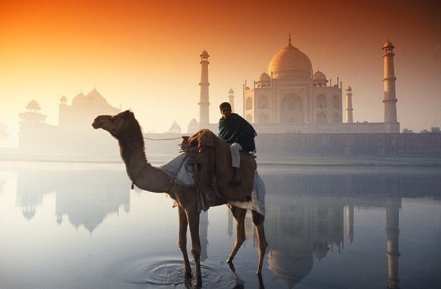 india03